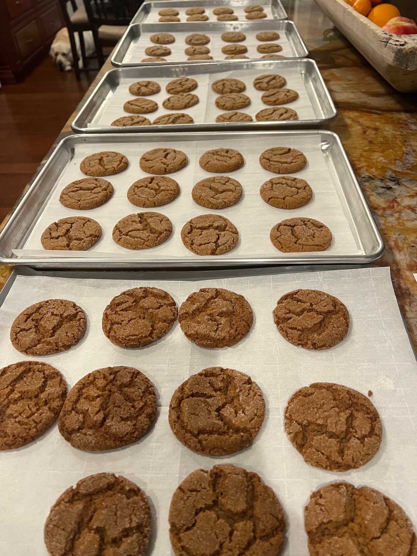 Fresh ginger cookies on baking sheets